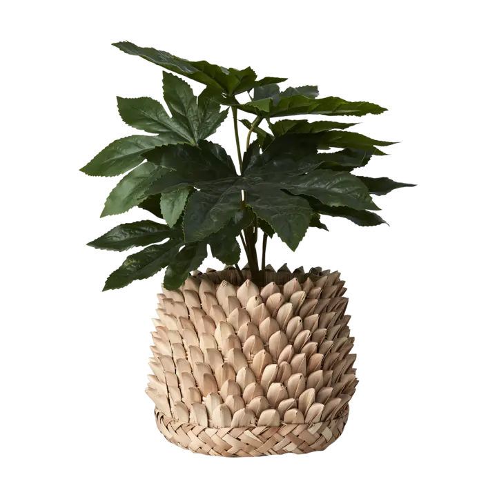 Affari of Sweden, SPIKY Kruka, Natur S