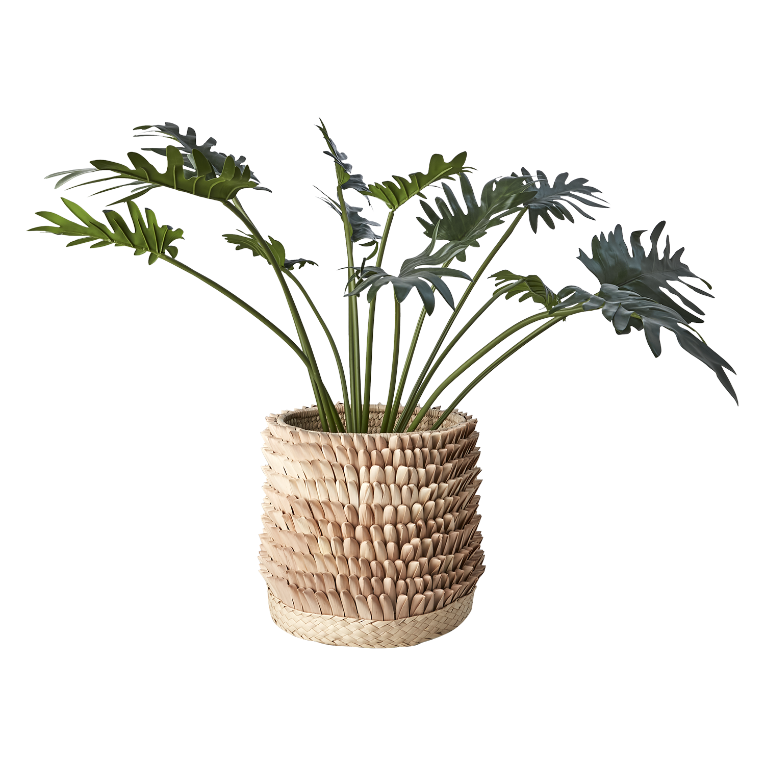 Affari of Sweden, SPIKY Kruka, Natur L