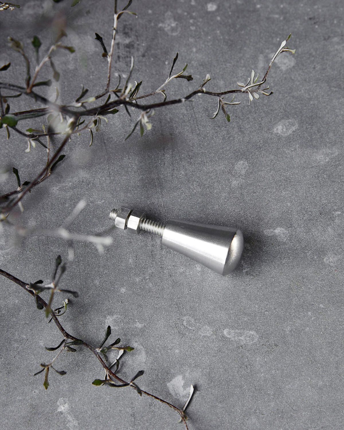 Knopp, Silver