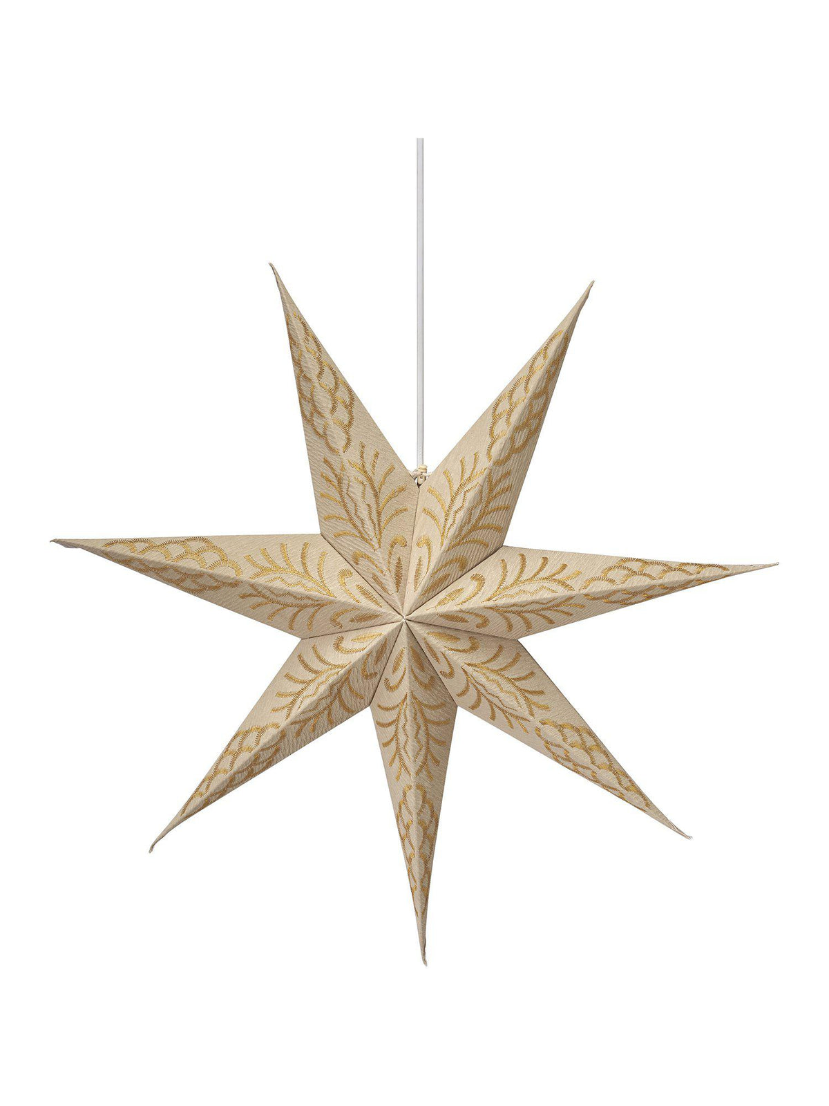 Celeste Star – Golden sand 60 cm