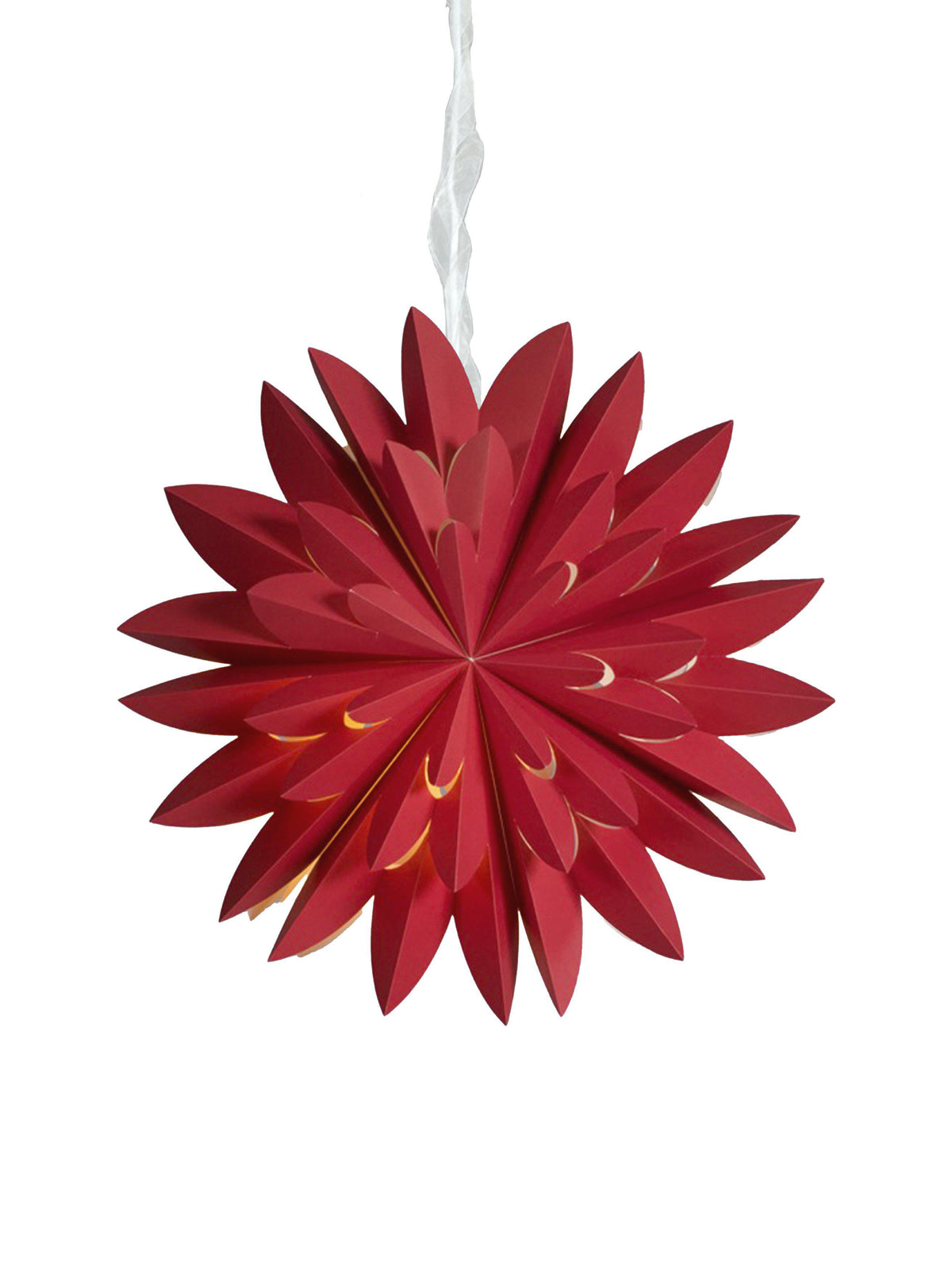 Hyacint Star – Röd 50 cm