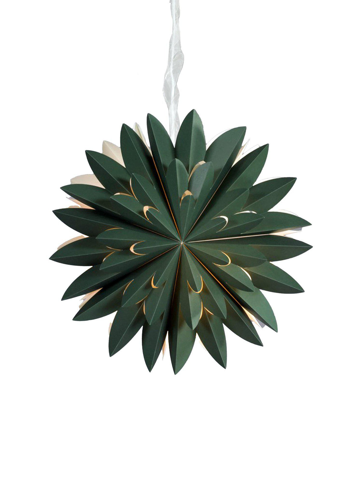 Hyacint Star – Grön 50 cm