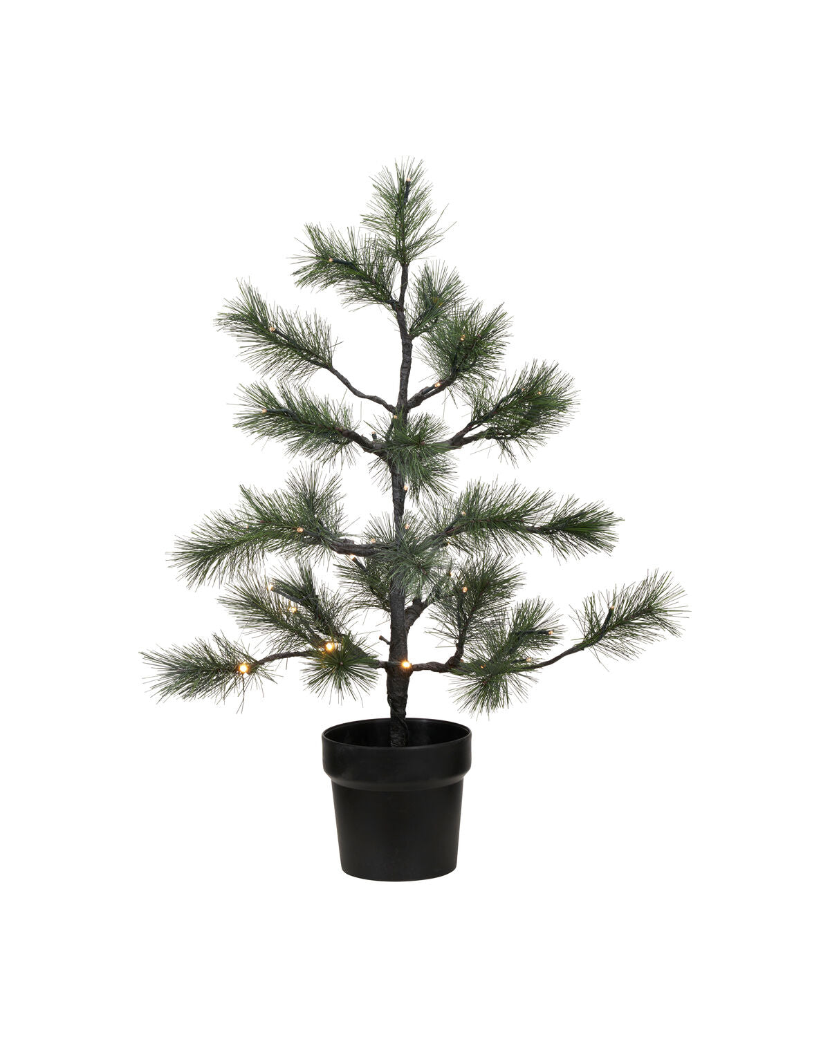 Julgran, HDPeuce, Natur