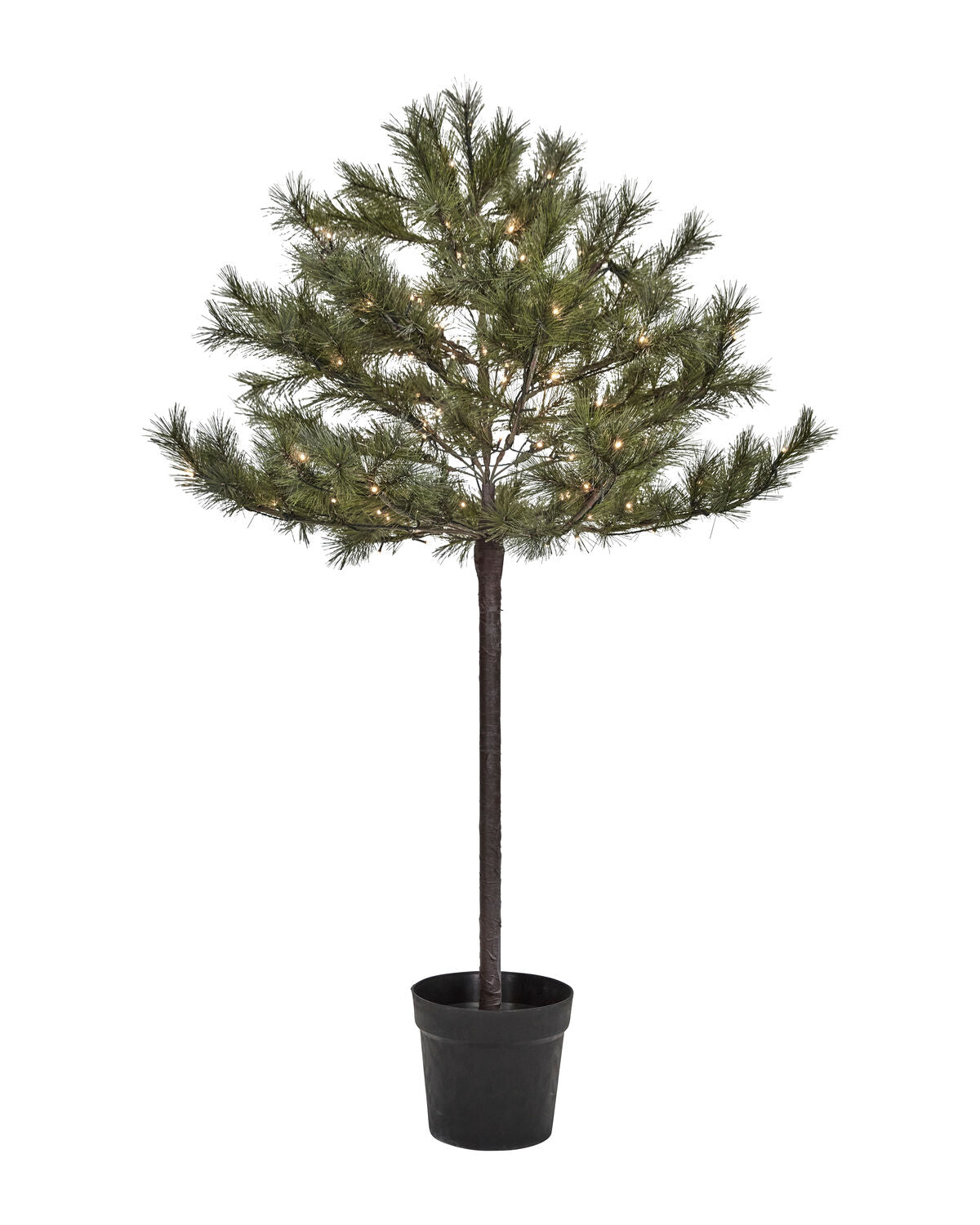 Julgran, HDPeuce, Natur
