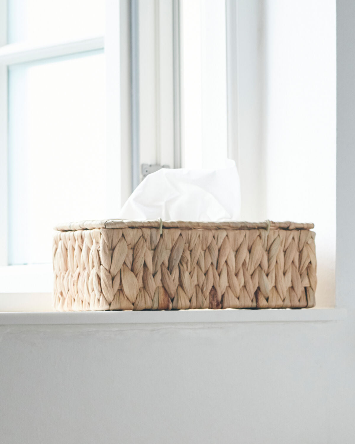 Näsdukshållare, HDClean, Natur