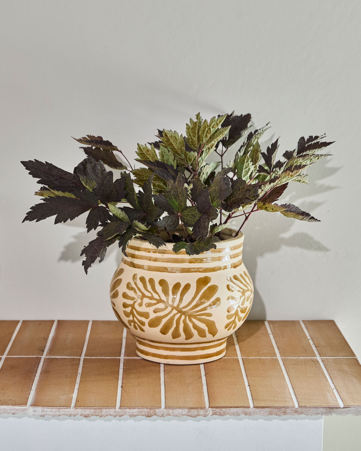 Blomkruka, HDIvy, Beige