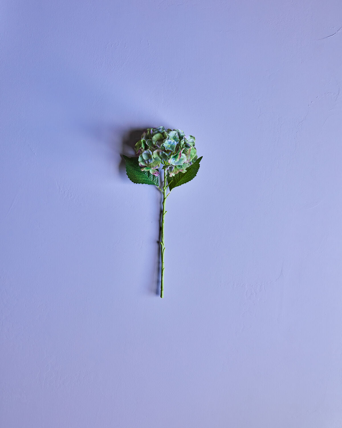 Artificial flower, HDHydrangea, Grön, Blå