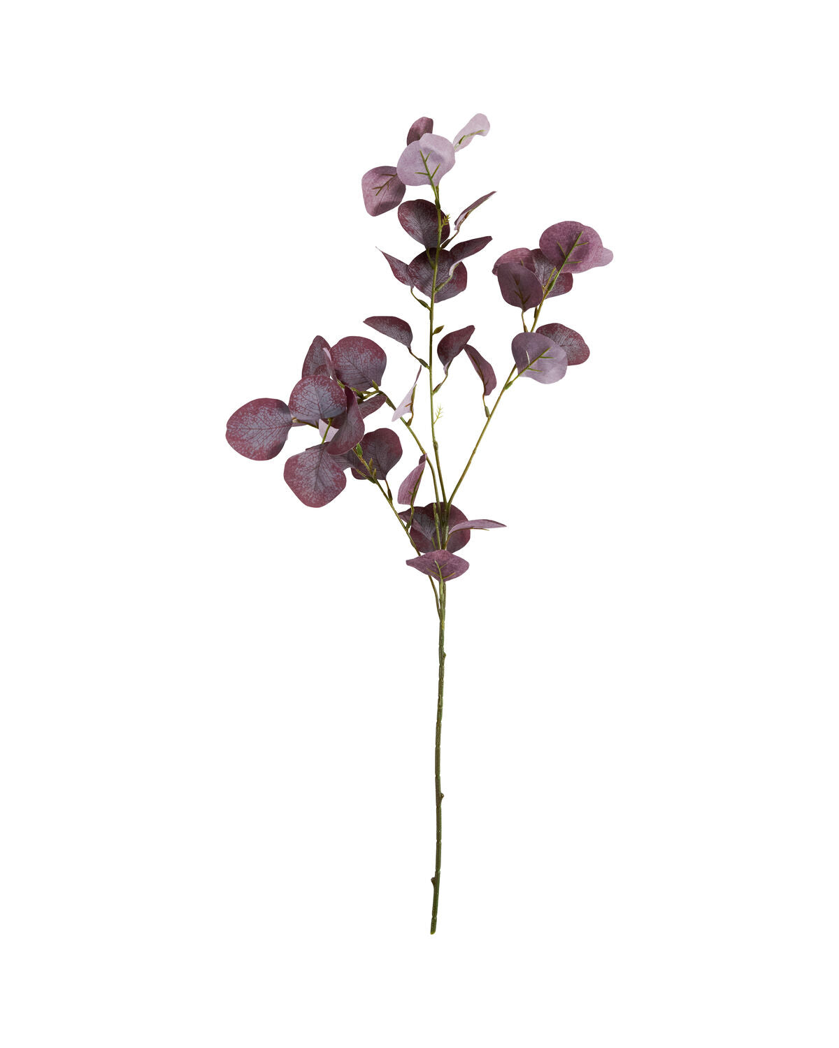 Artificial branch, HDEucalyptus, Bordeaux