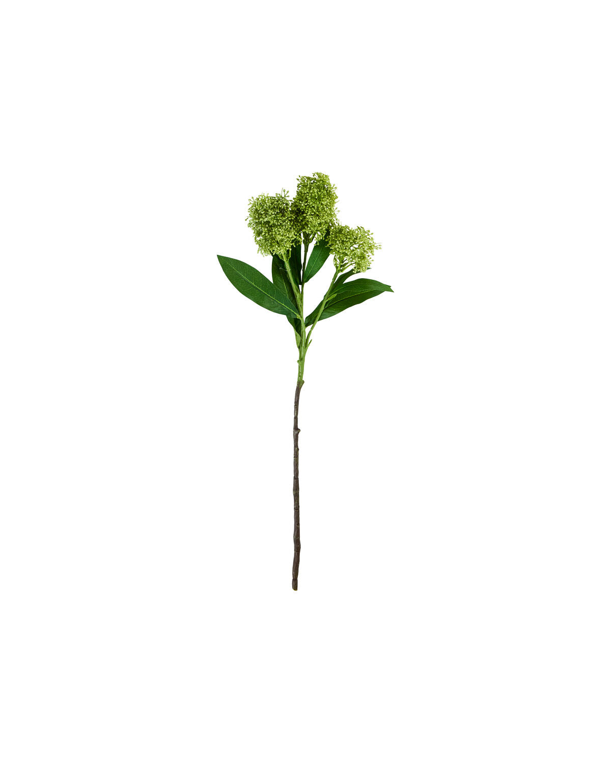 Artificial flower, HDSkimmia, Grön
