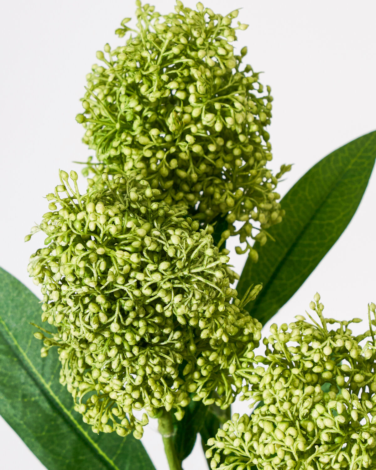 Artificial flower, HDSkimmia, Grön