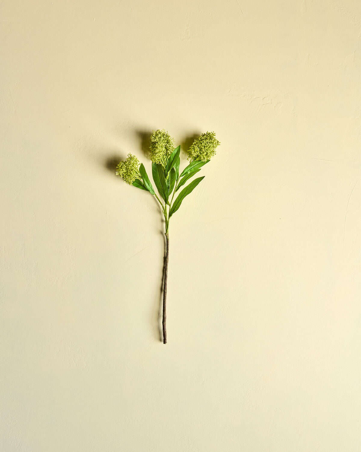Artificial flower, HDSkimmia, Grön