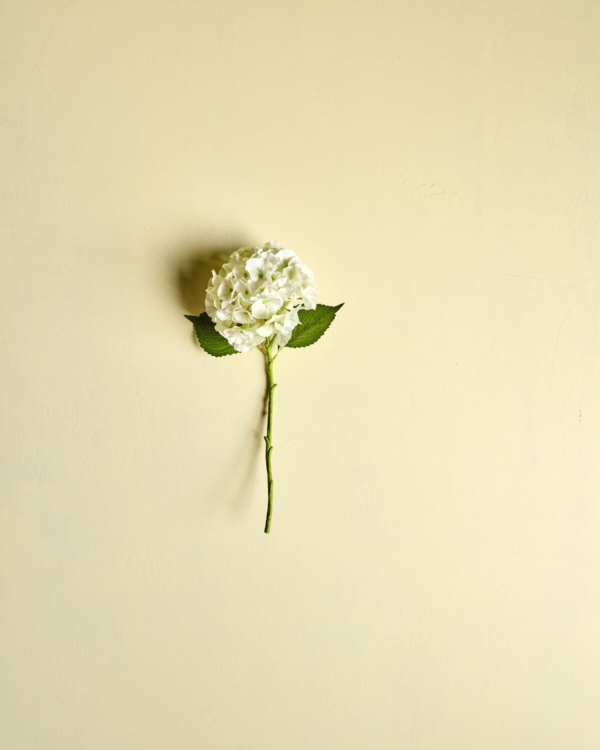 Artificial flower, HDHydrangea, Vit