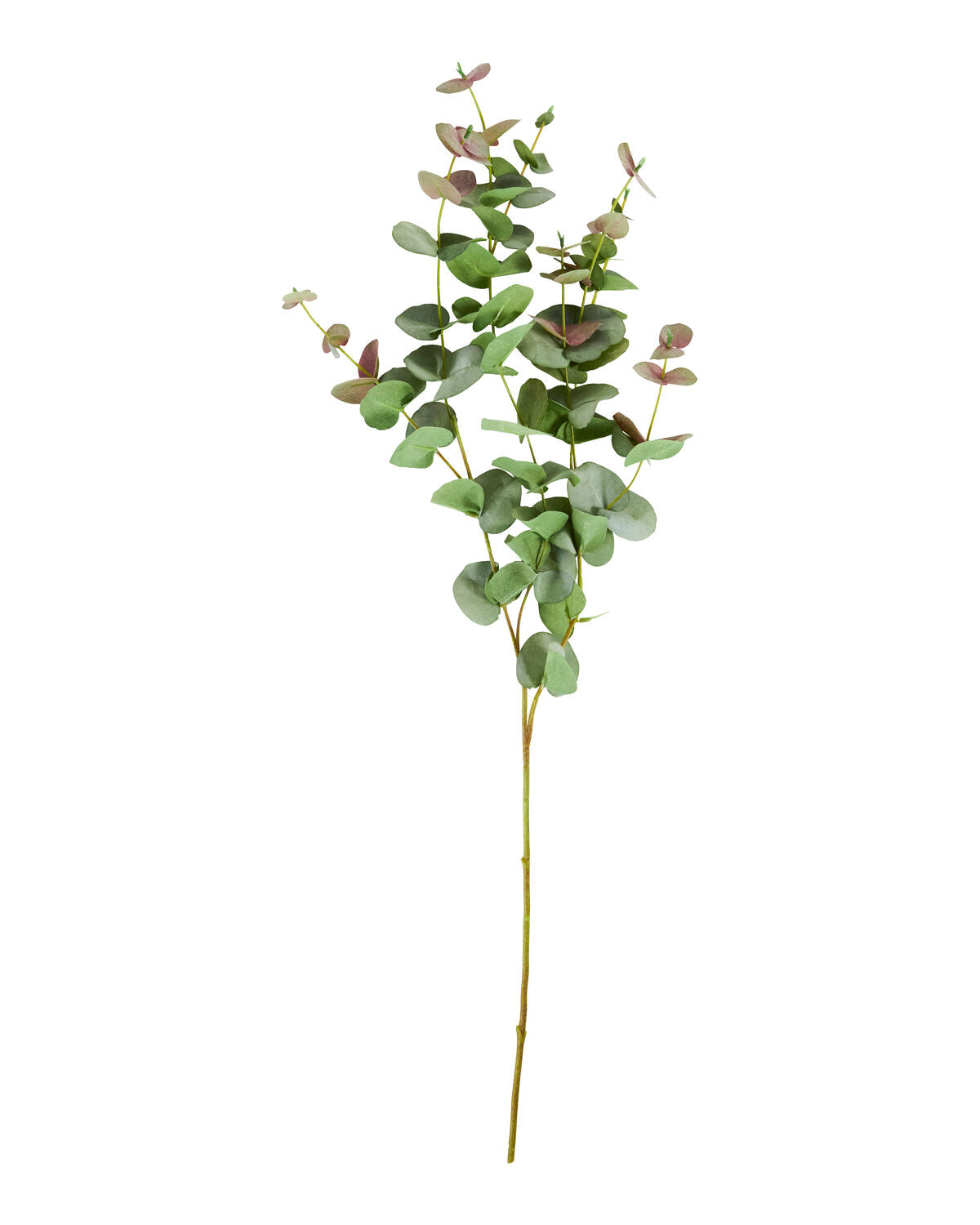 Artificial branch, HDEucalyptus, Grön