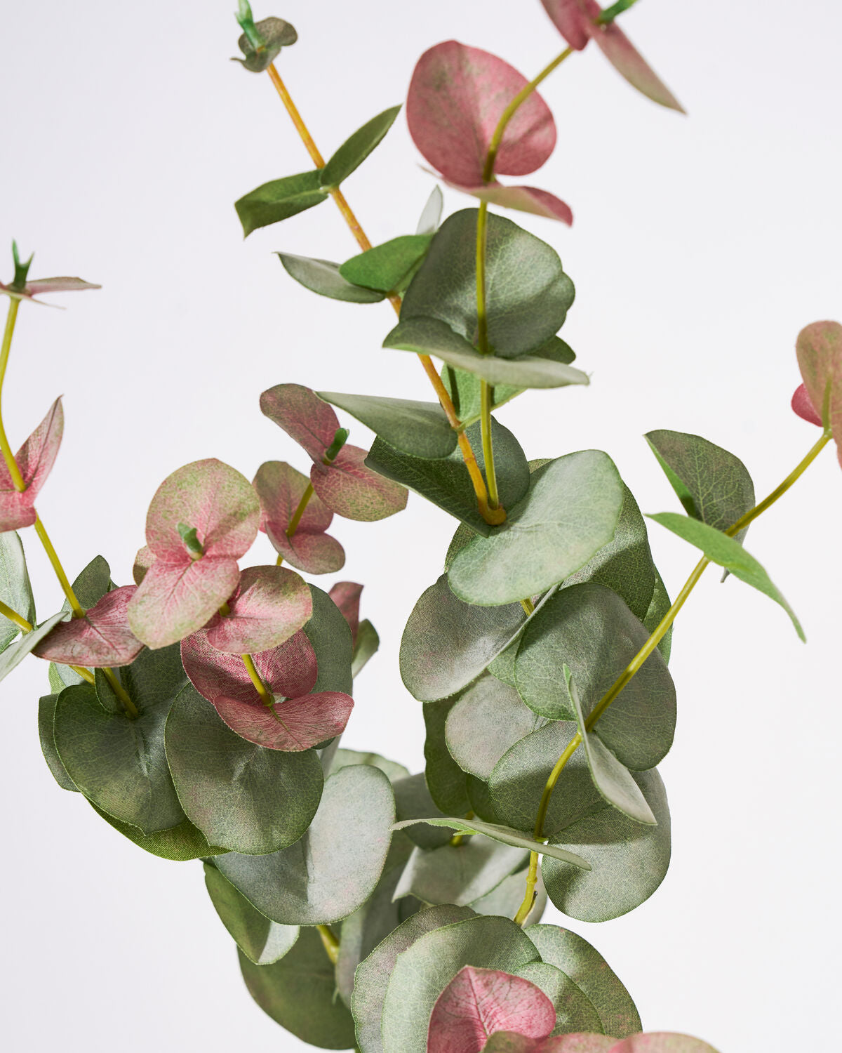 Artificial branch, HDEucalyptus, Grön