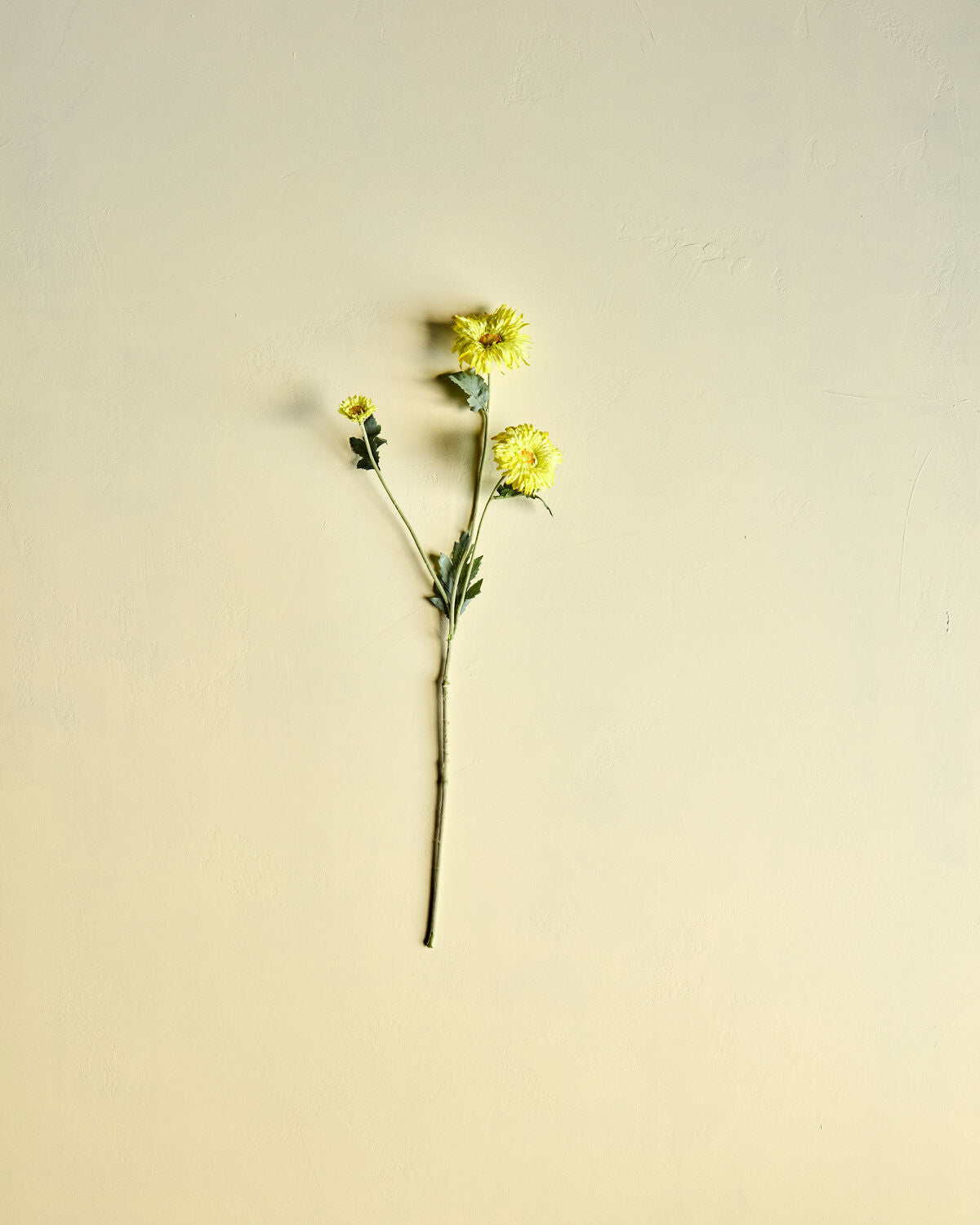 Artificial flower, HDGerbera, Gul