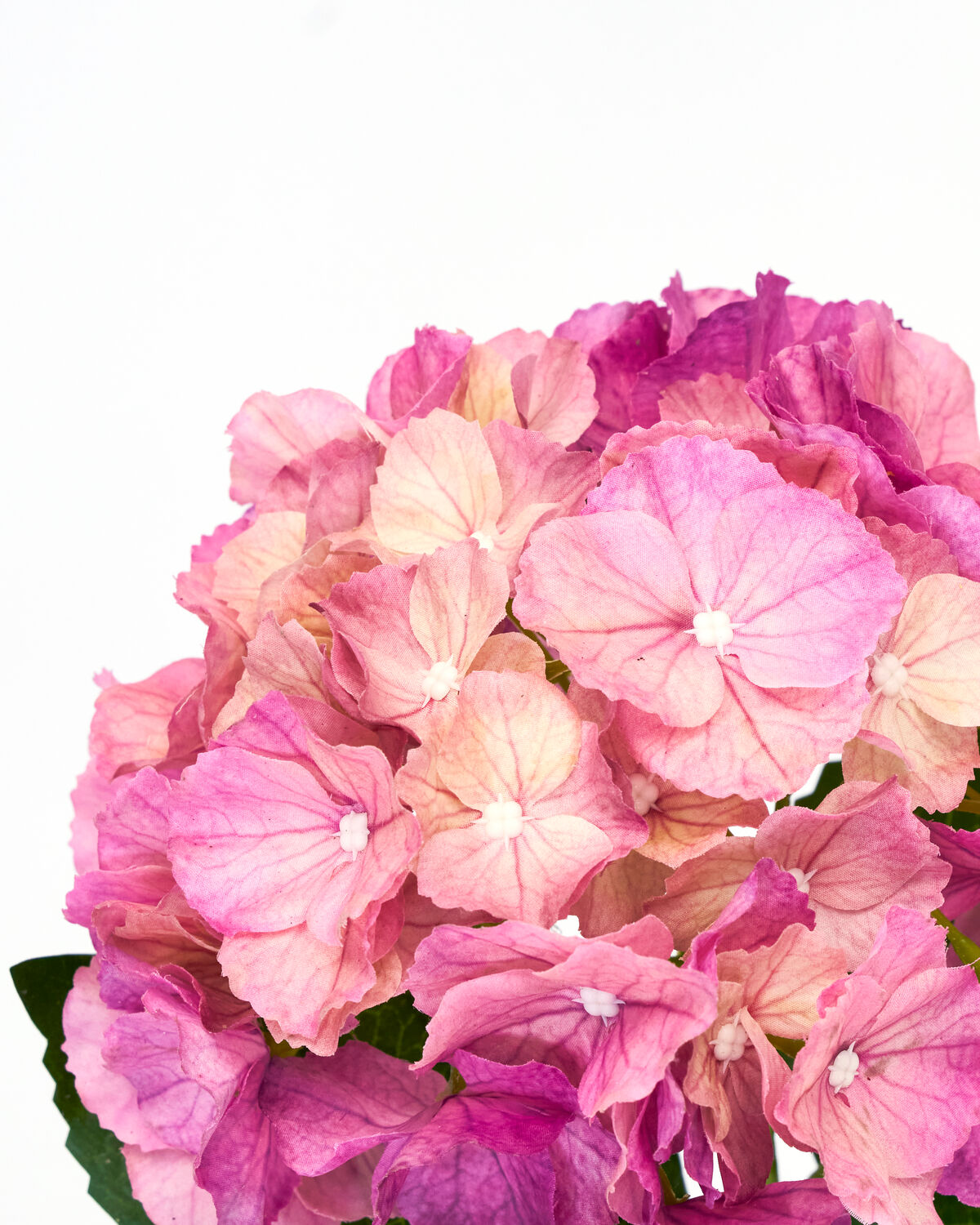 Artificial flower, HDHydrangea, Rosa