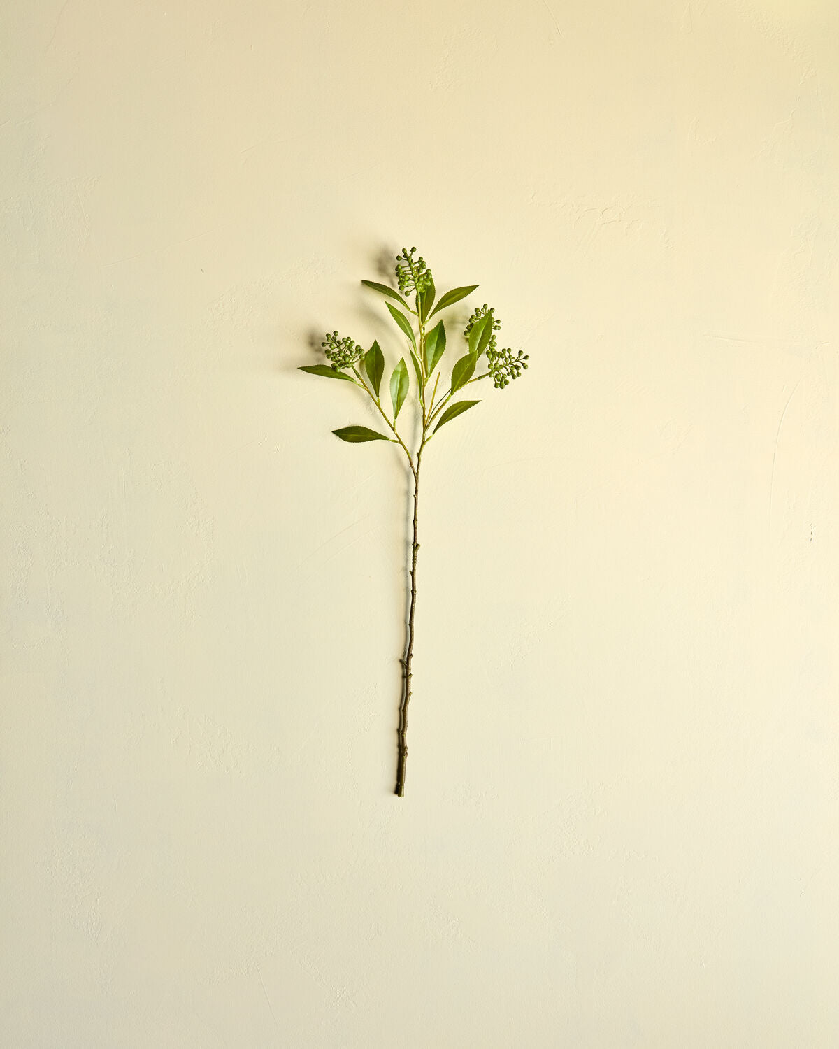Artificial branch, HDLigustrum, Grön