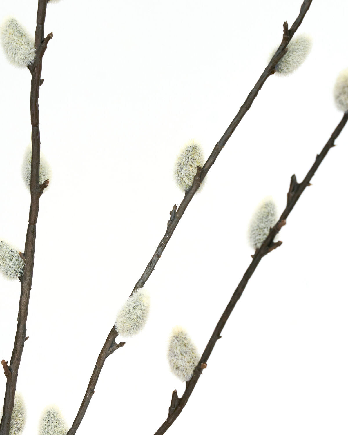 Artificial branch, HDSalix, Grön