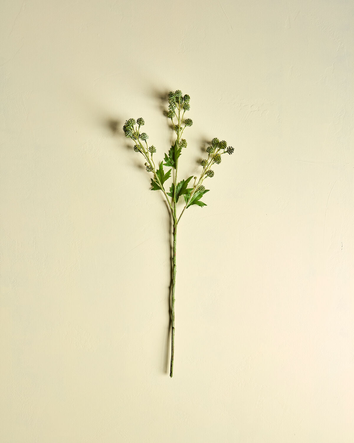 Artificial branch, HDSedum, Grön