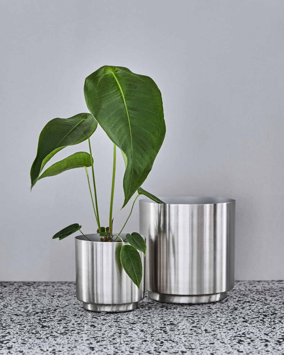 Blomkruka, HDBailey, Silver finish