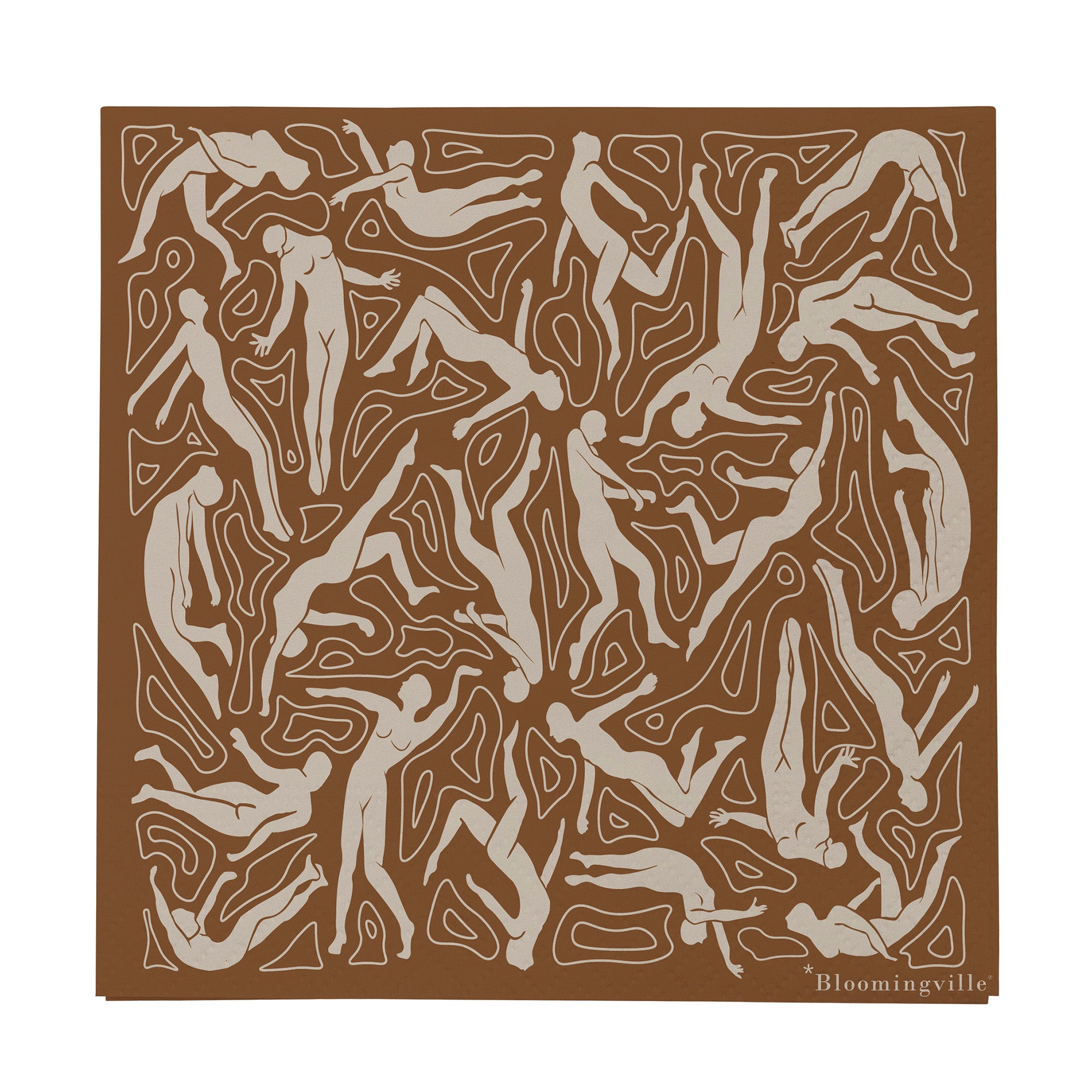 82054005