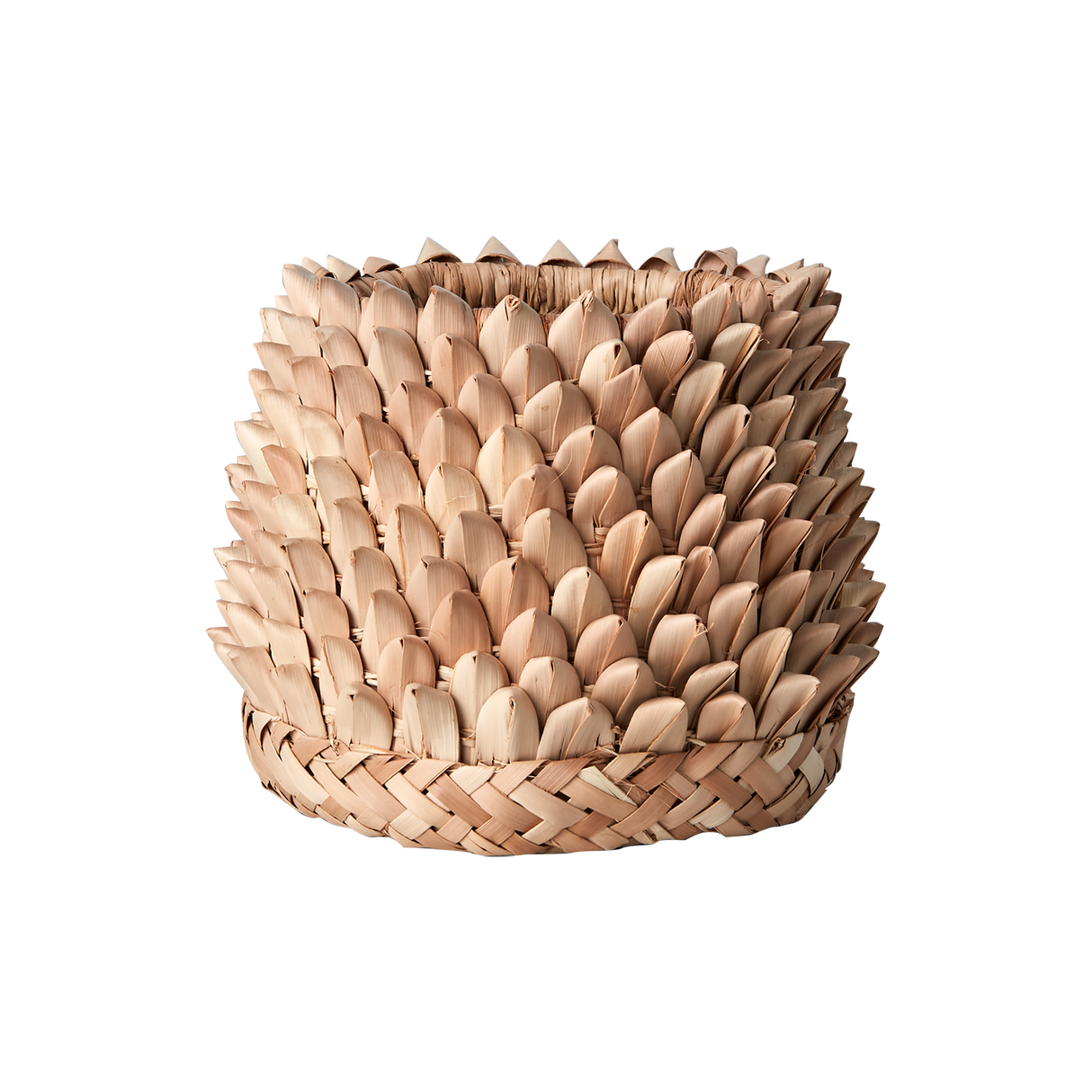 Affari of Sweden, SPIKY Kruka, Natur S