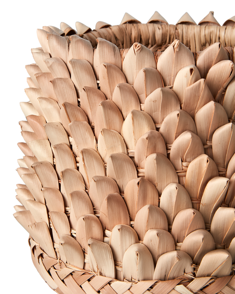 Affari of Sweden, SPIKY Kruka, Natur S