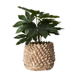 Affari of Sweden, SPIKY Kruka, Natur S