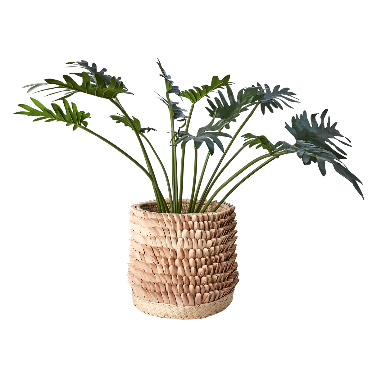 Affari of Sweden, SPIKY Kruka, Natur L