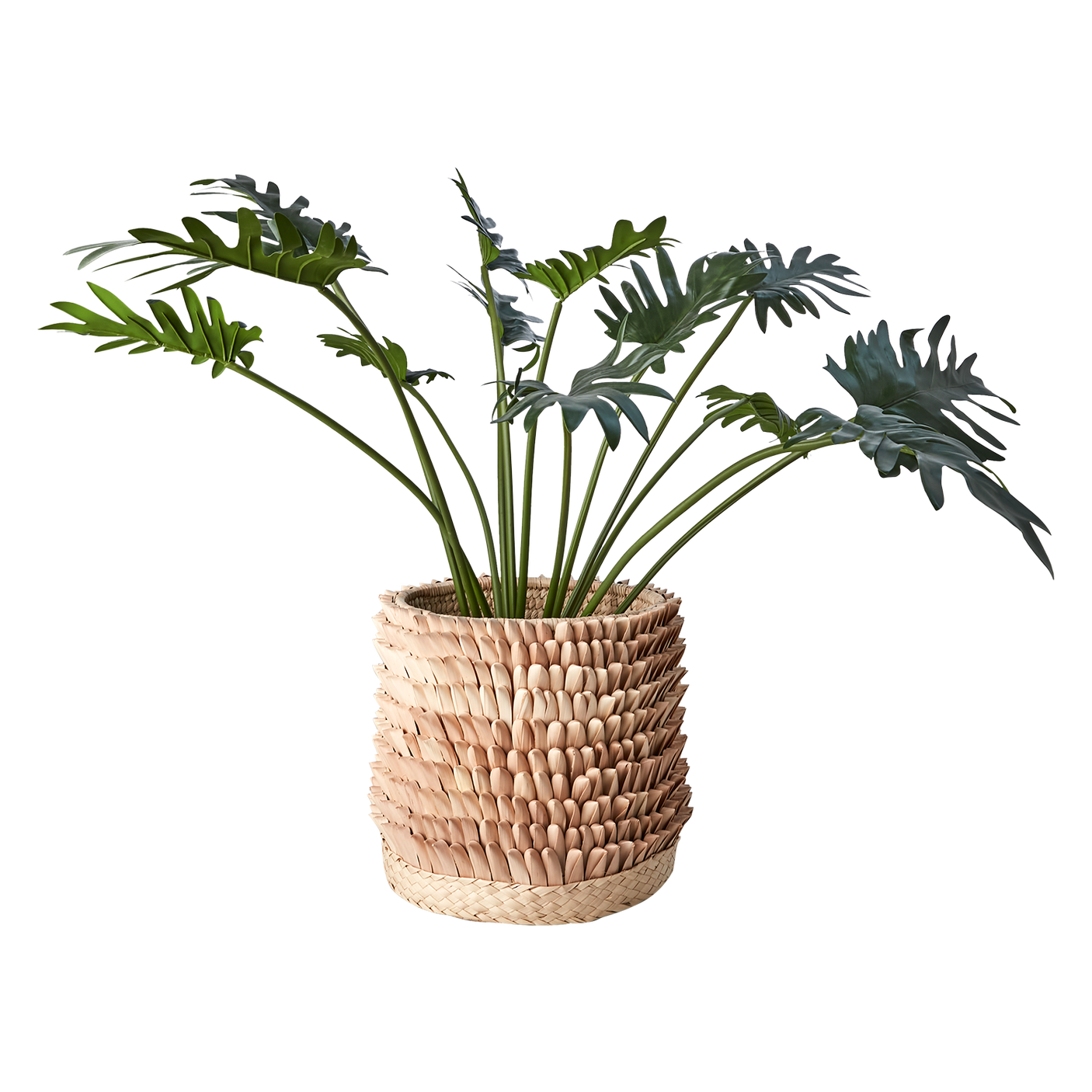 Affari of Sweden, SPIKY Kruka, Natur L