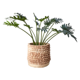 Affari of Sweden, SPIKY Kruka, Natur L
