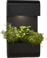 Planta Vägglampa – Svart, 70x40 cm