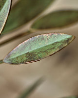 Ljusstake, HDLeaves, Antik grön