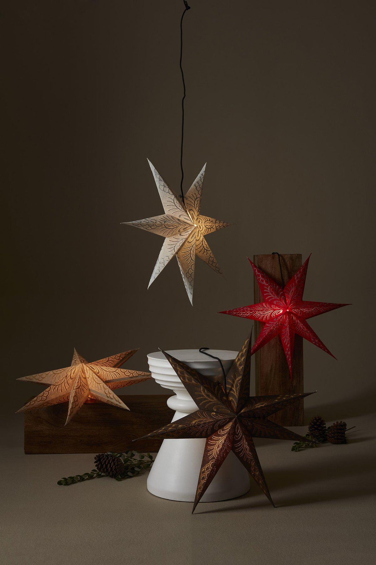 Celeste Star – Golden sand 60 cm