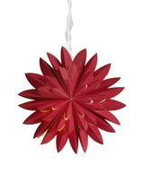 Hyacint Star – Röd 50 cm