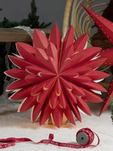 Hyacint Star – Röd 50 cm