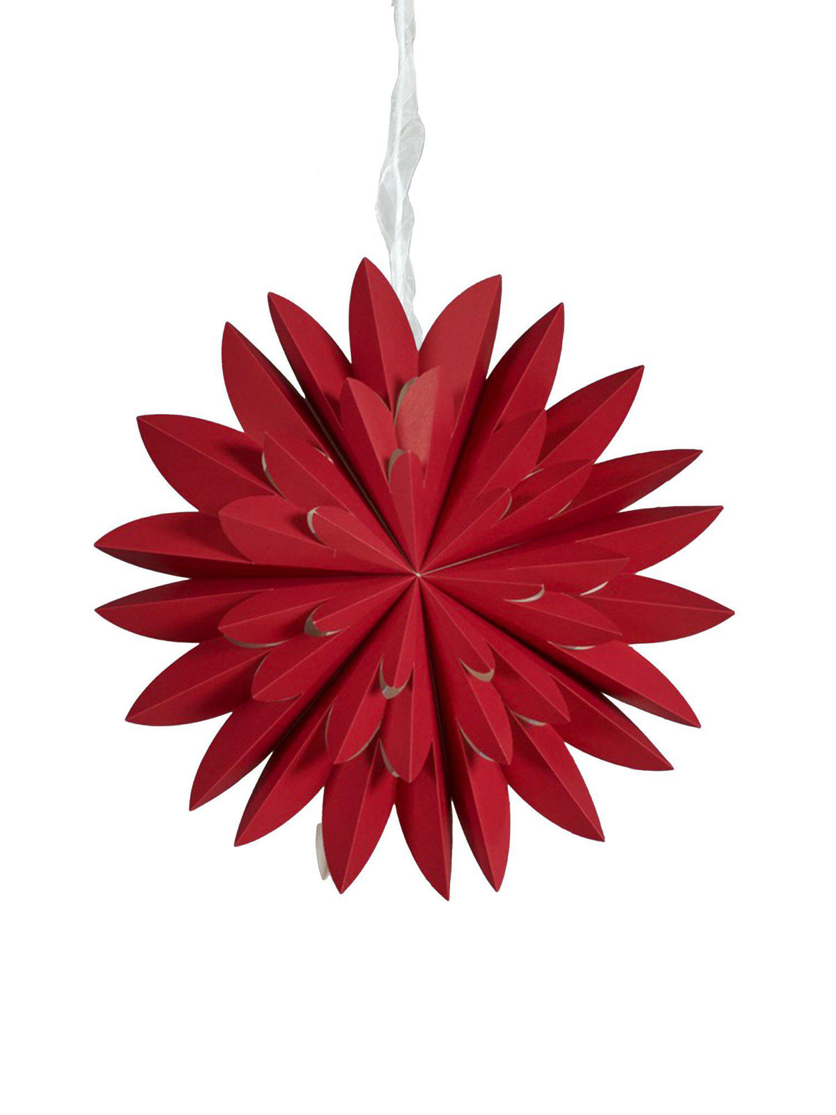 Hyacint Star – Röd 50 cm