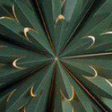 Hyacint Star – Grön 50 cm