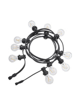 Bright Light Pkt – inkl. clear bulbs 720 cm
