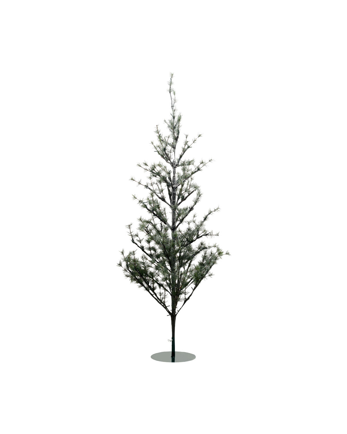 Julgran, HDPin, Natur