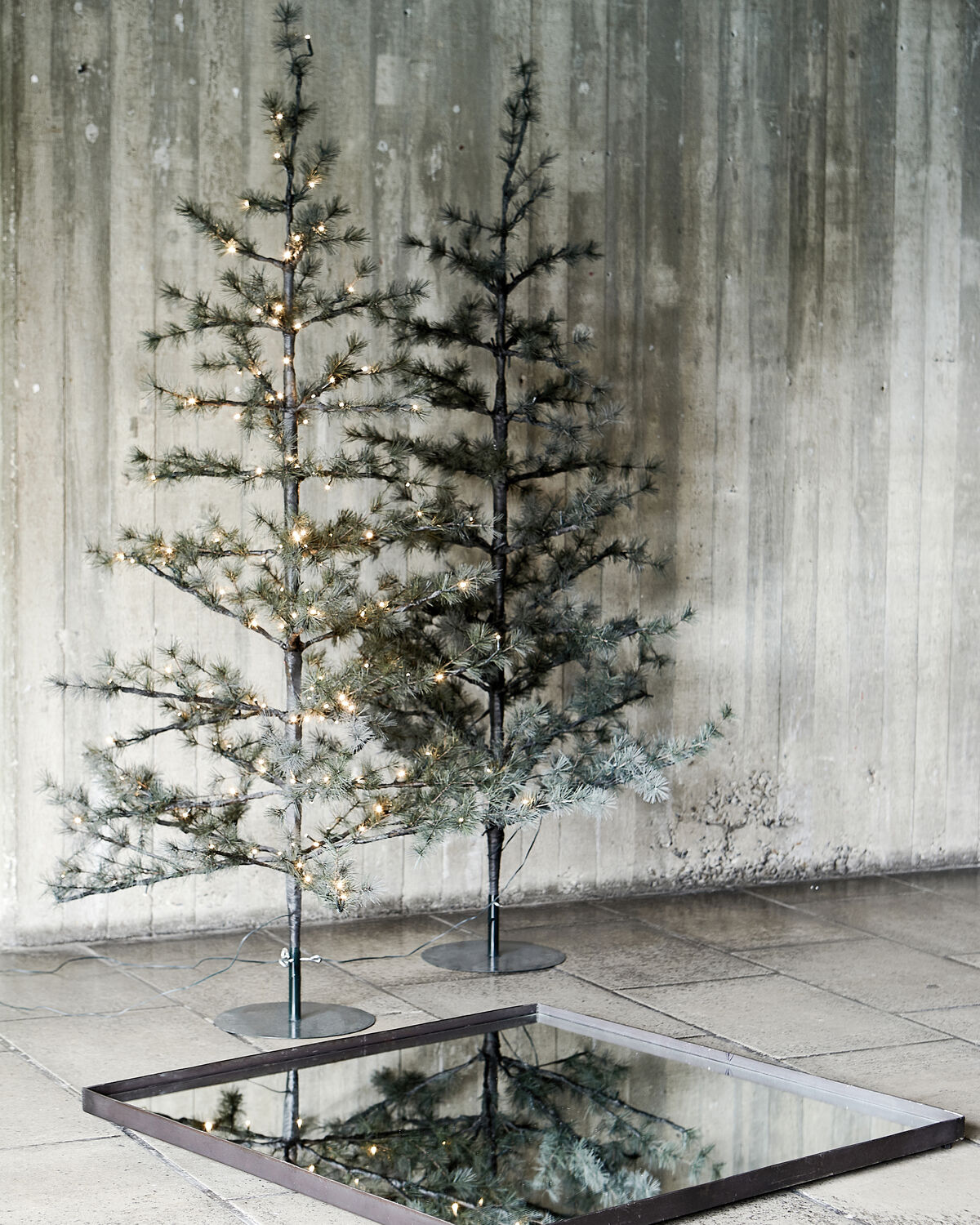 Julgran, HDPin, Natur