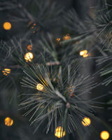 Julgran, HDPin, Natur