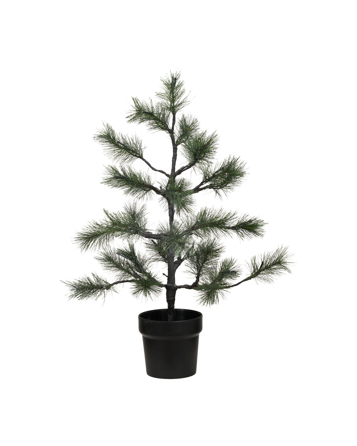 Julgran, HDPeuce, Natur