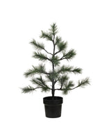 Julgran, HDPeuce, Natur