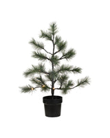 Julgran, HDPeuce, Natur