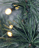 Julgran, HDPeuce, Natur