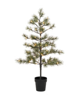 Julgran, HDPeuce, Natur