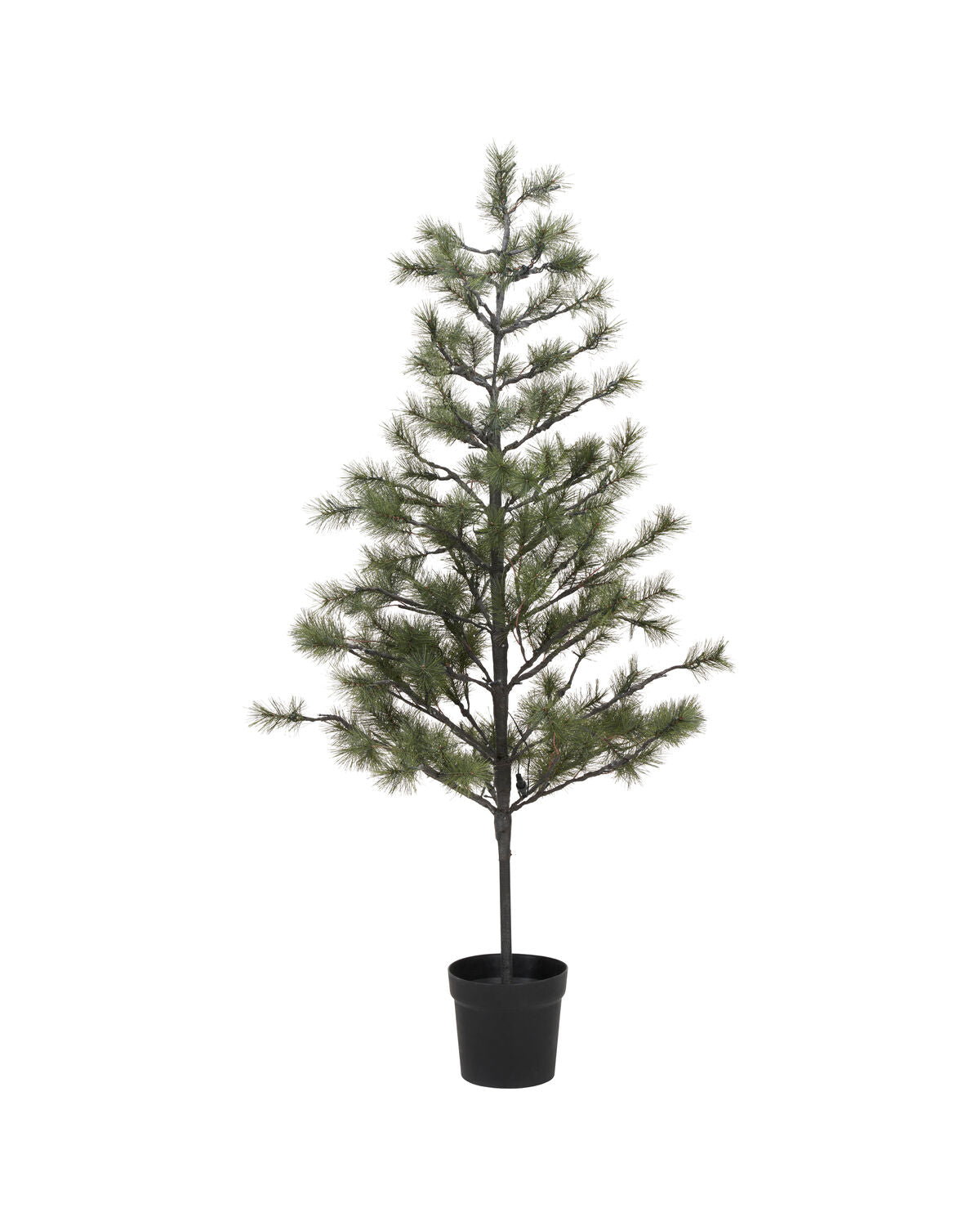 Julgran, HDPeuce, Natur
