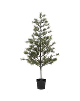 Julgran, HDPeuce, Natur