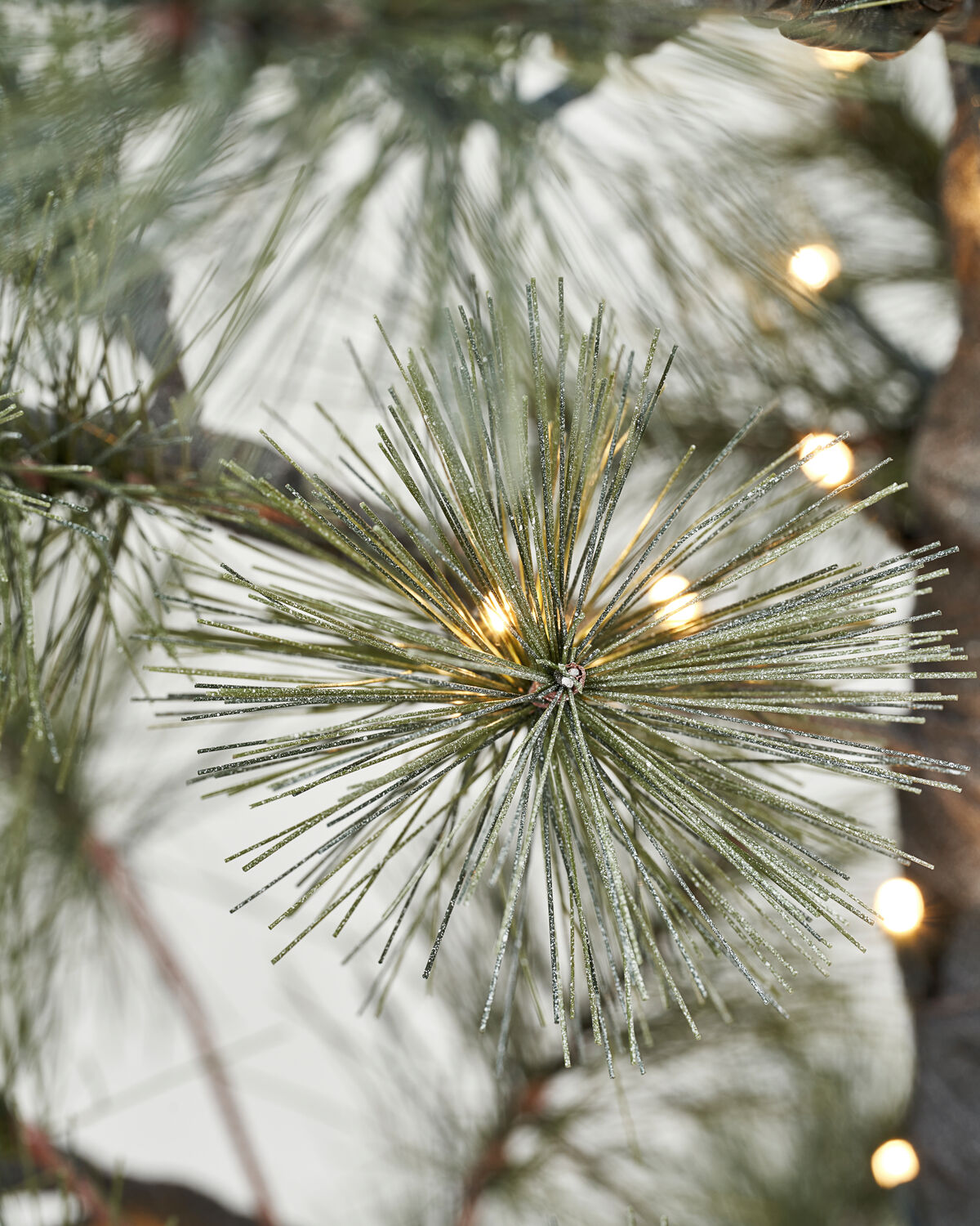 Julgran, HDPeuce, Natur